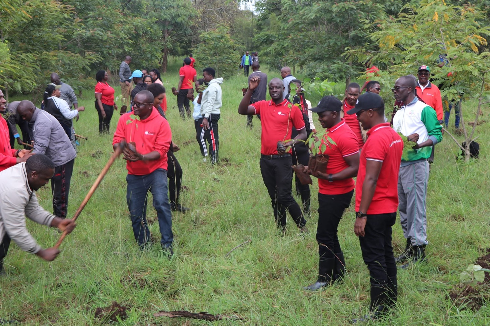 Lush green landscape supported through environmental financing